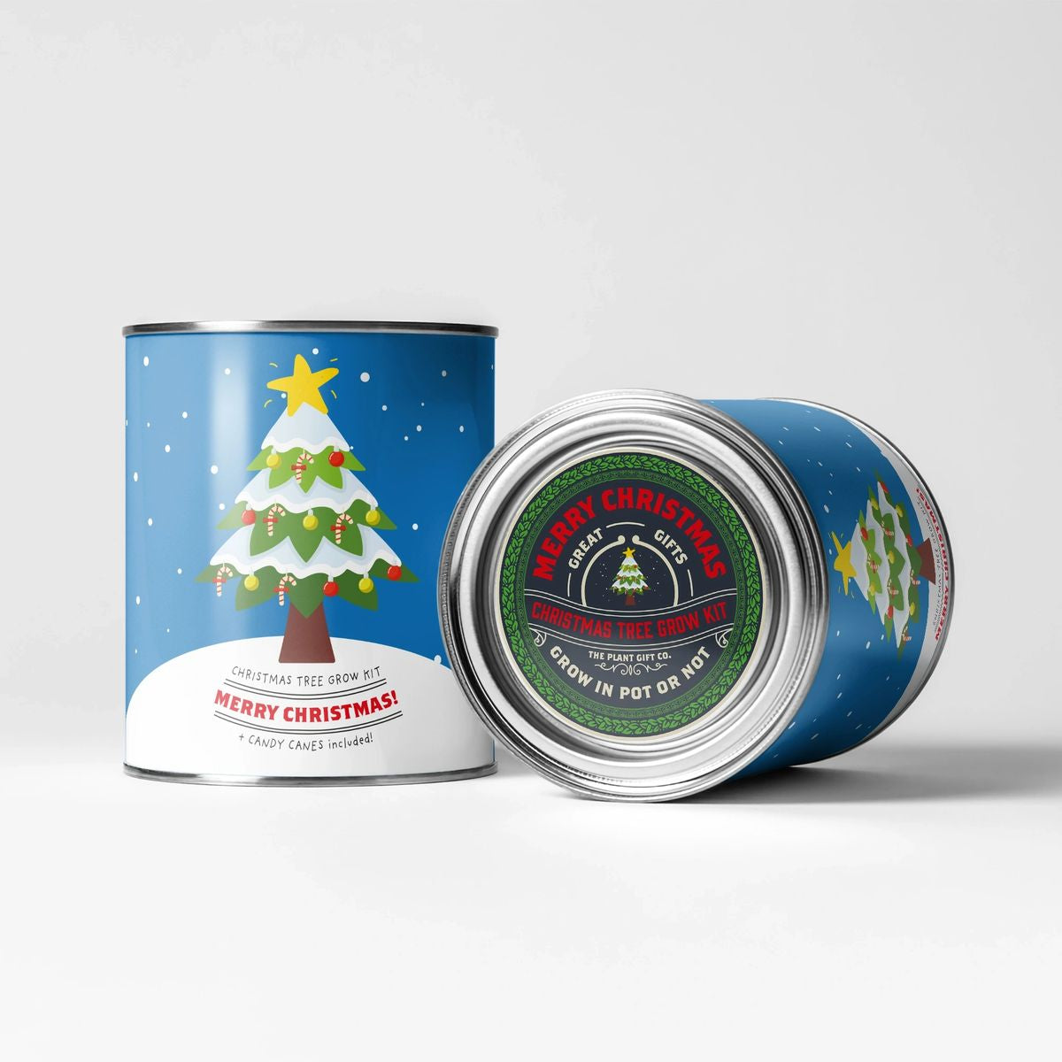 Grow your own Christmas tree kit