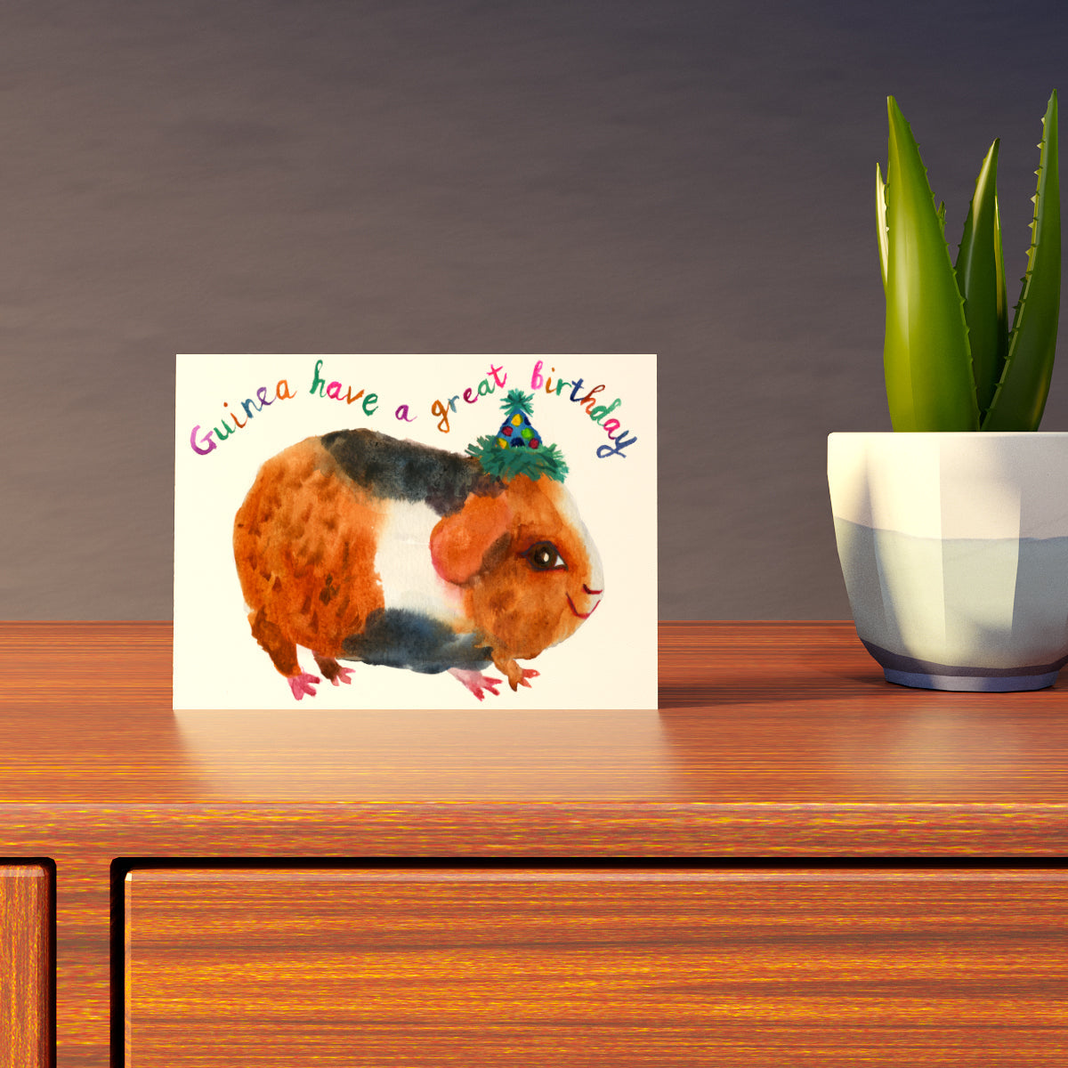 Birthday Guinea Pig