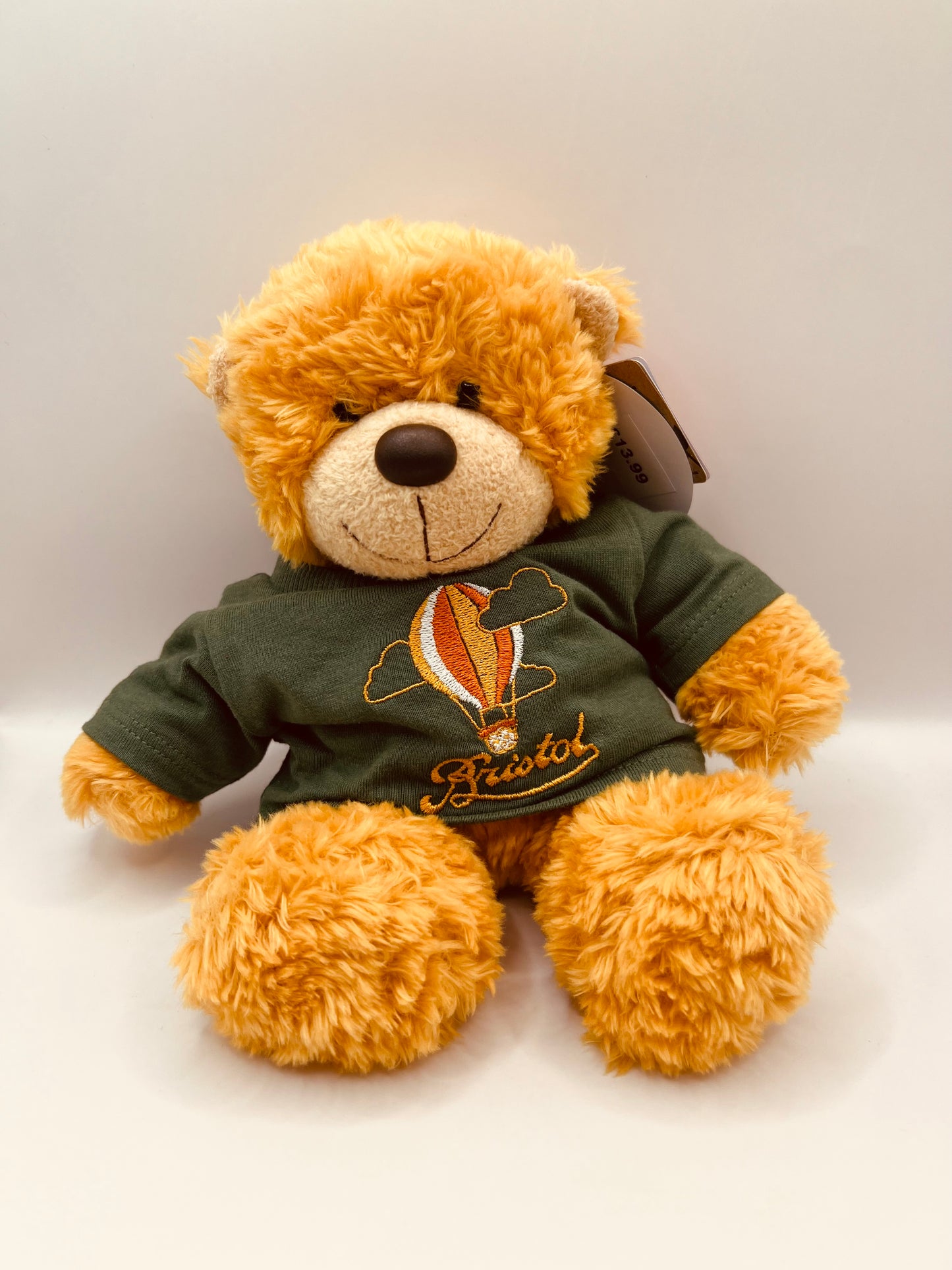 BRISTOL KEEPSAKE BONNIE BEAR WITH HOT AIR BALLOON GREEN T-SHIRT