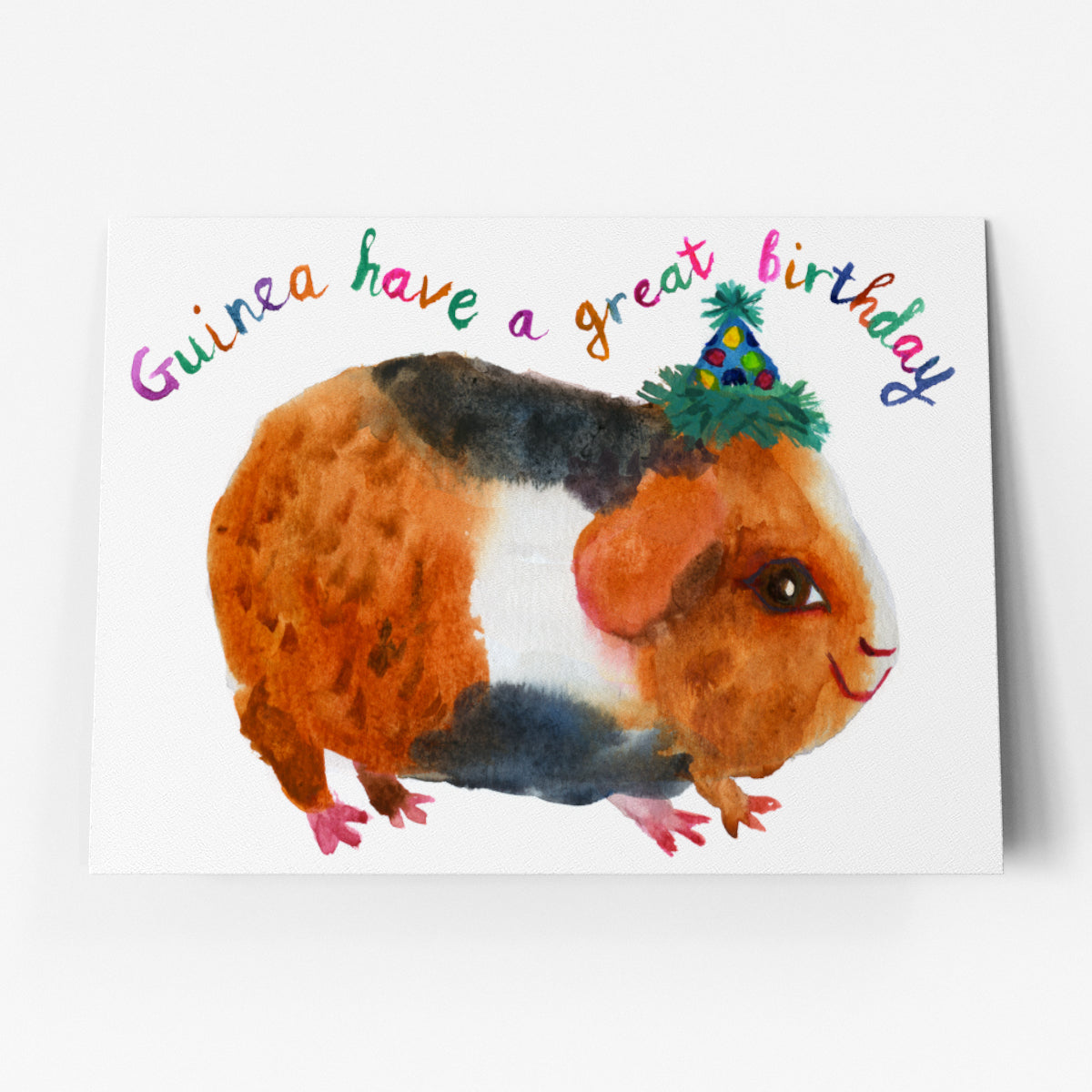 Birthday Guinea Pig