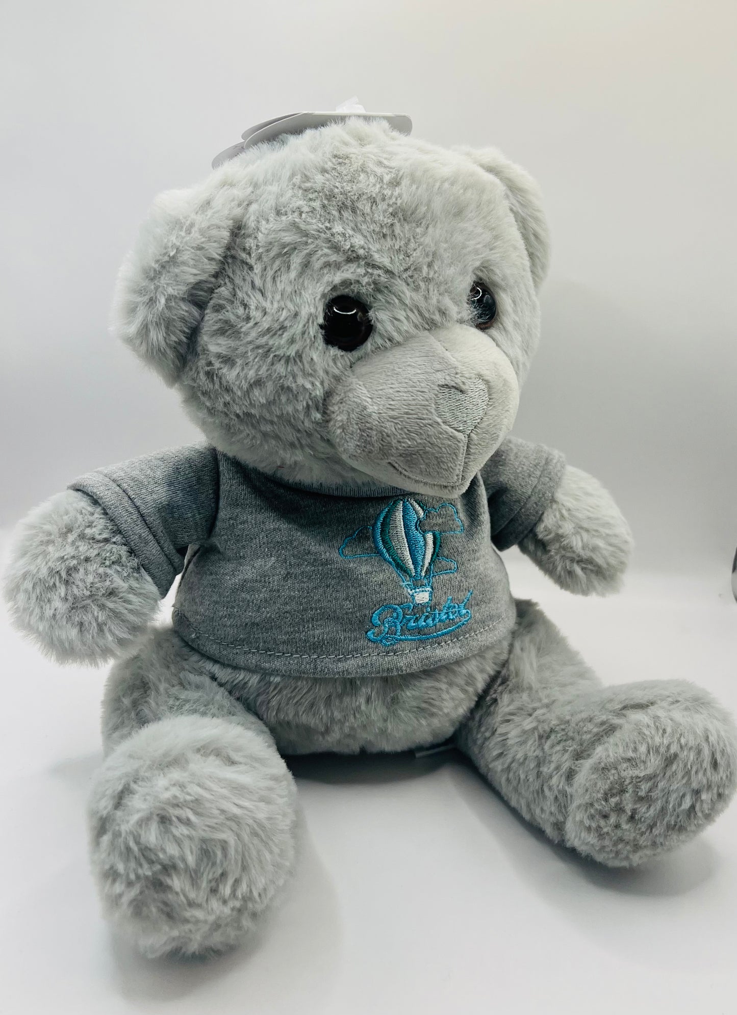 BRISTOL KEEPSAKE HOT AIR BALLOON GREY BEAR