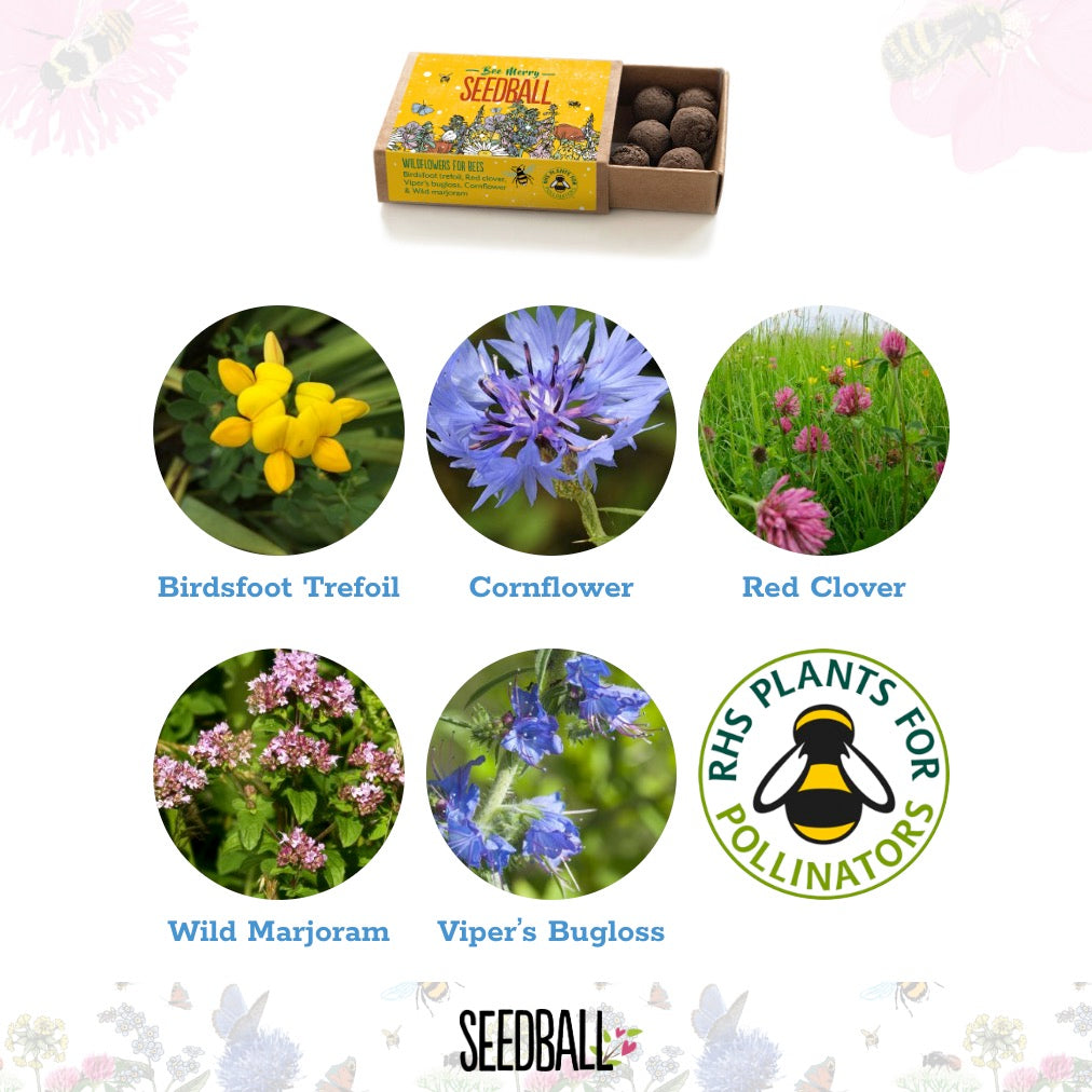 Seedball Wildflower Stocking Fillers