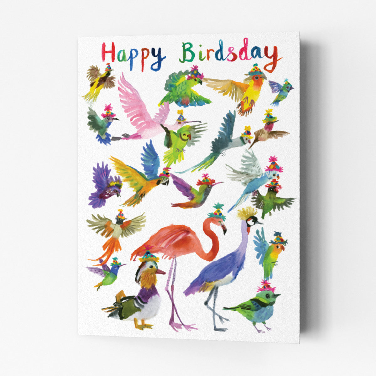 Happy Birdsday