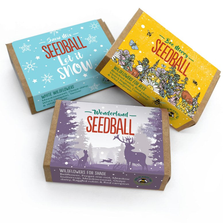 Seedball Wildflower Stocking Fillers