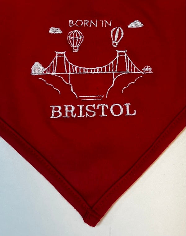 BORN IN BRISTOL EMBROIDERED SUSPENSION BRIDGE
