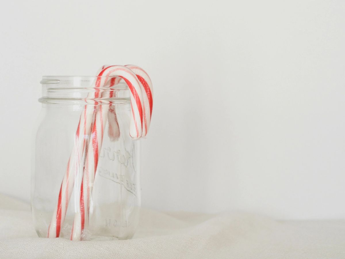 Grow your own Christmas tree kit