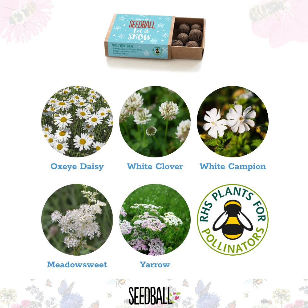 Seedball Wildflower Stocking Fillers
