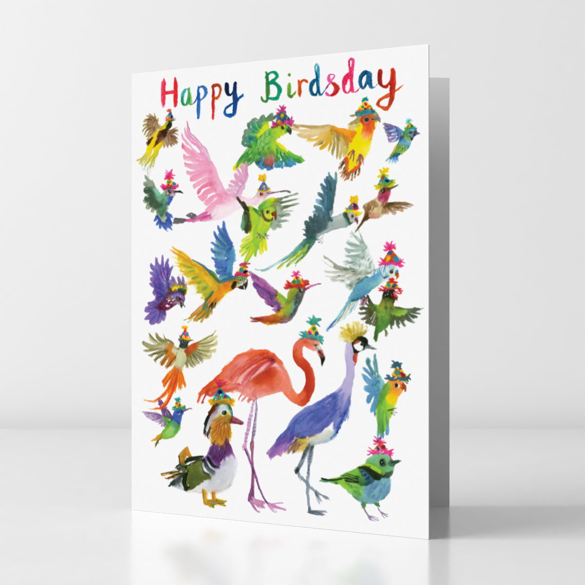 Happy Birdsday