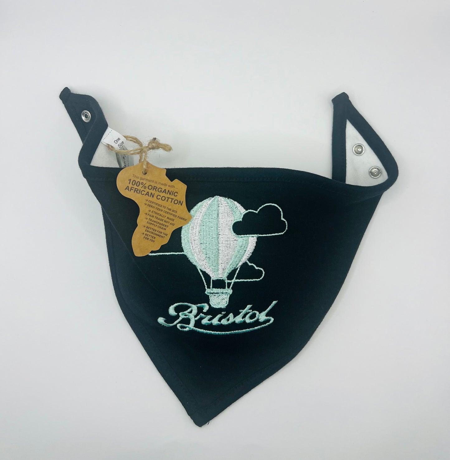 BORN IN BRISTOL HOT AIR BALLOON EMBROIDERED BIB