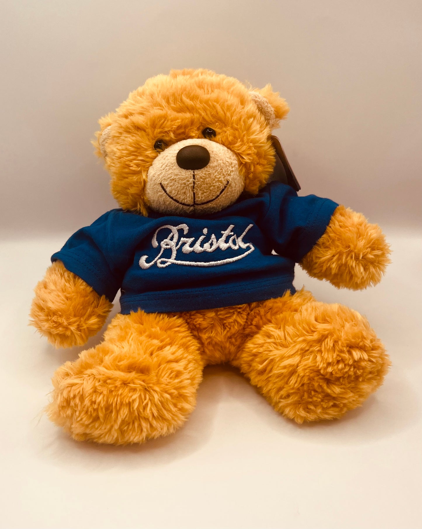BRISTOL KEEPSAKE BONNIE BEAR