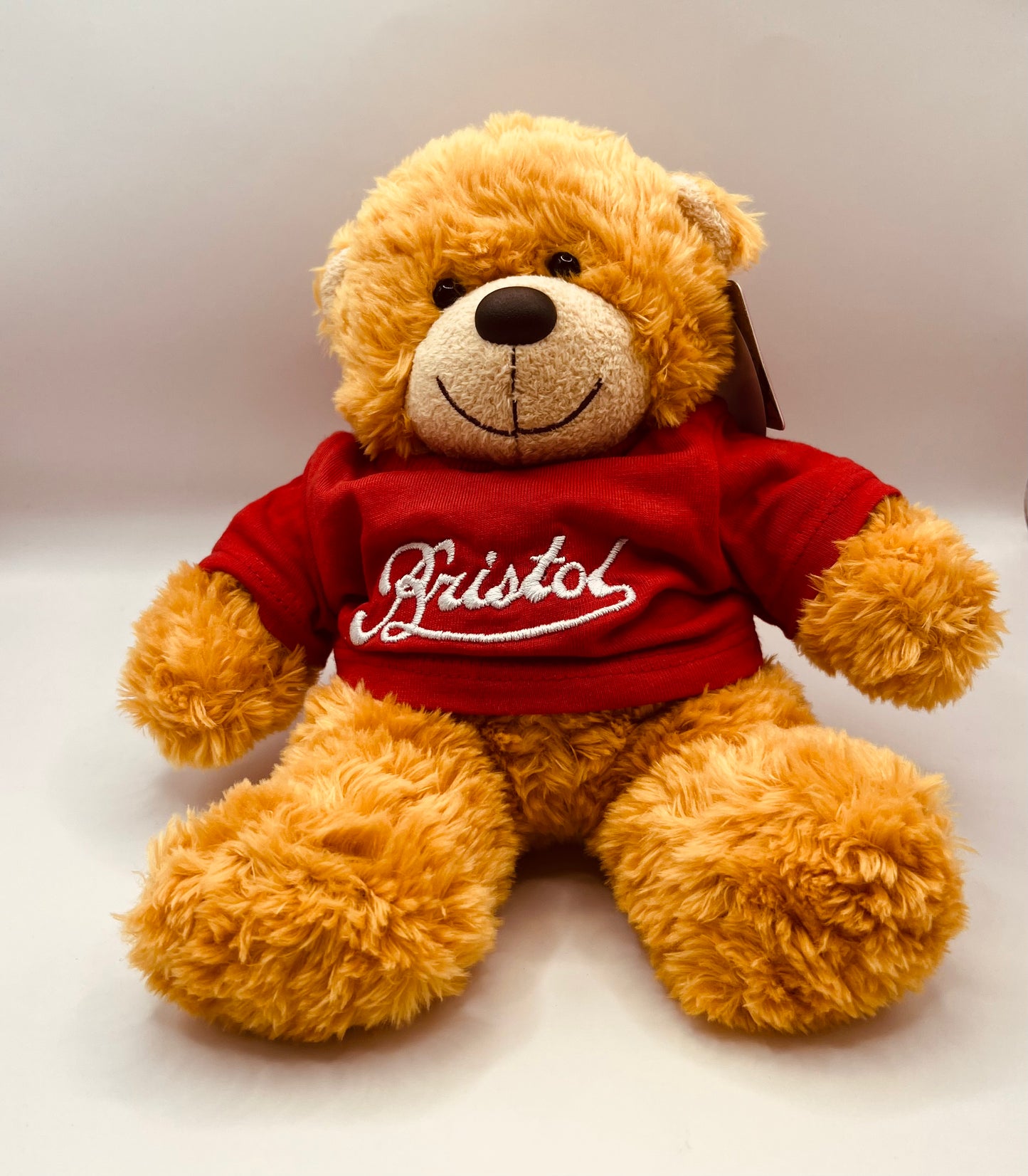BRISTOL KEEPSAKE BONNIE BEAR