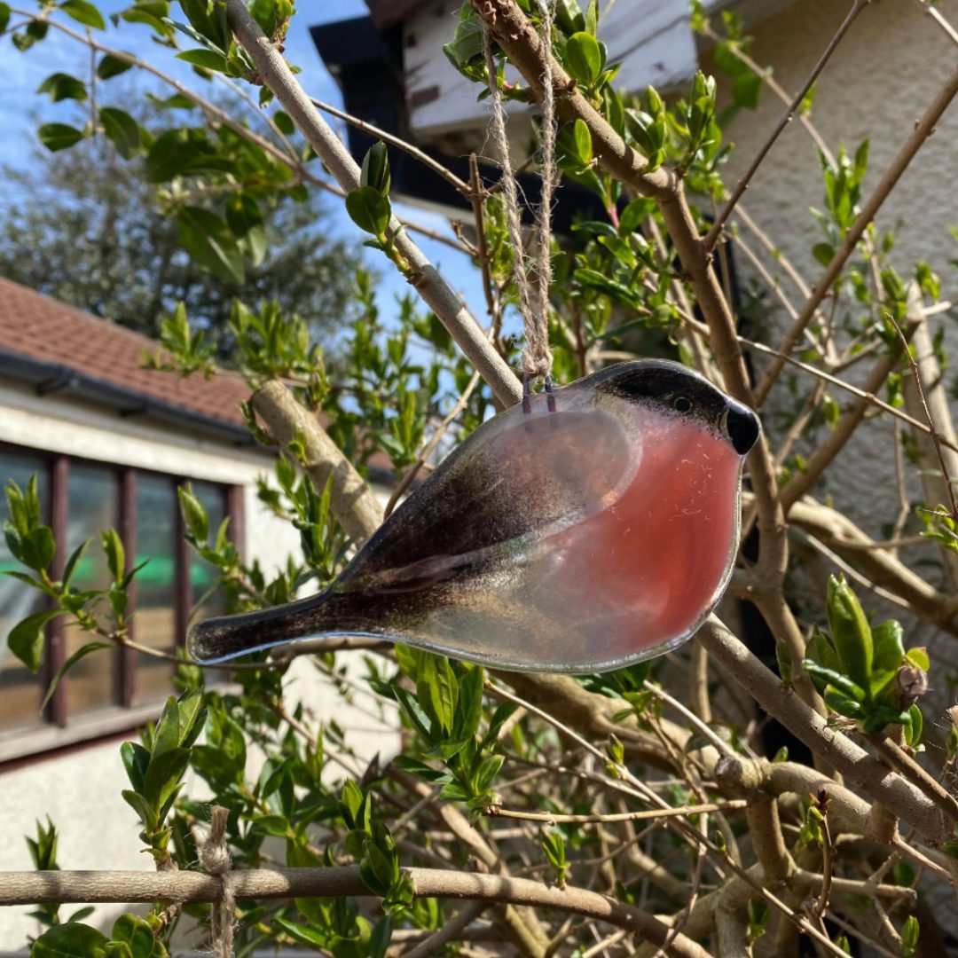 Fused Glass by Emily glass Bullfinch