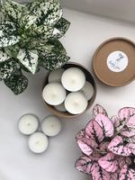 Belle Isle Botanicals Scented Soy Wax Tealights