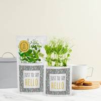 Shroot Personalised 'Just To Say Hello' Card And Seed Gift