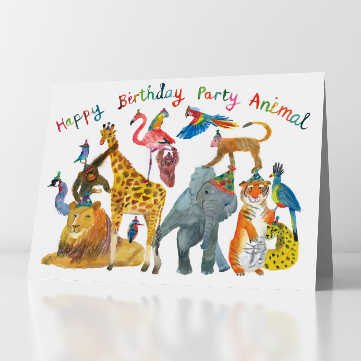 Pack Of 5 Greeting Cards