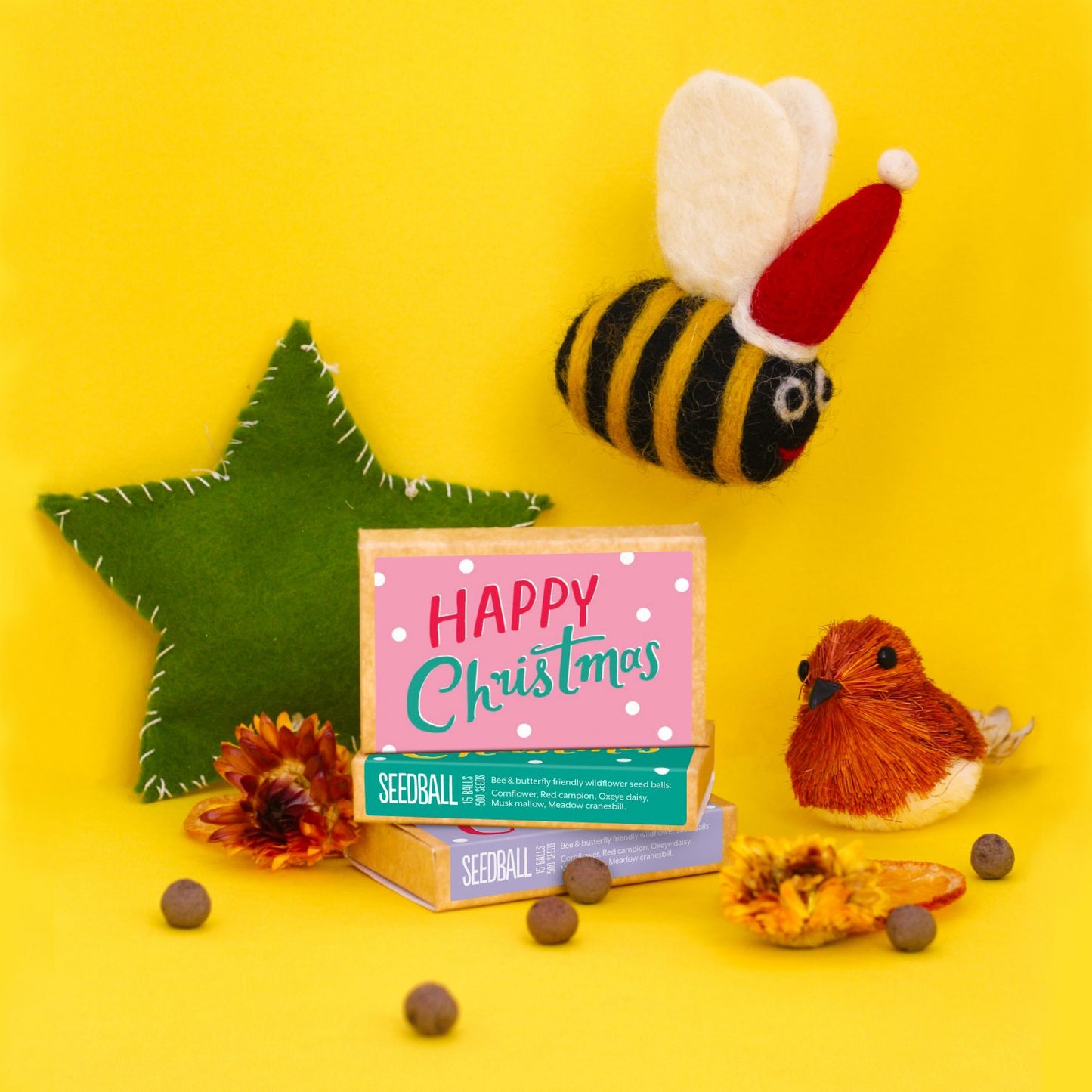 Large Happy Christmas Seed Boxes