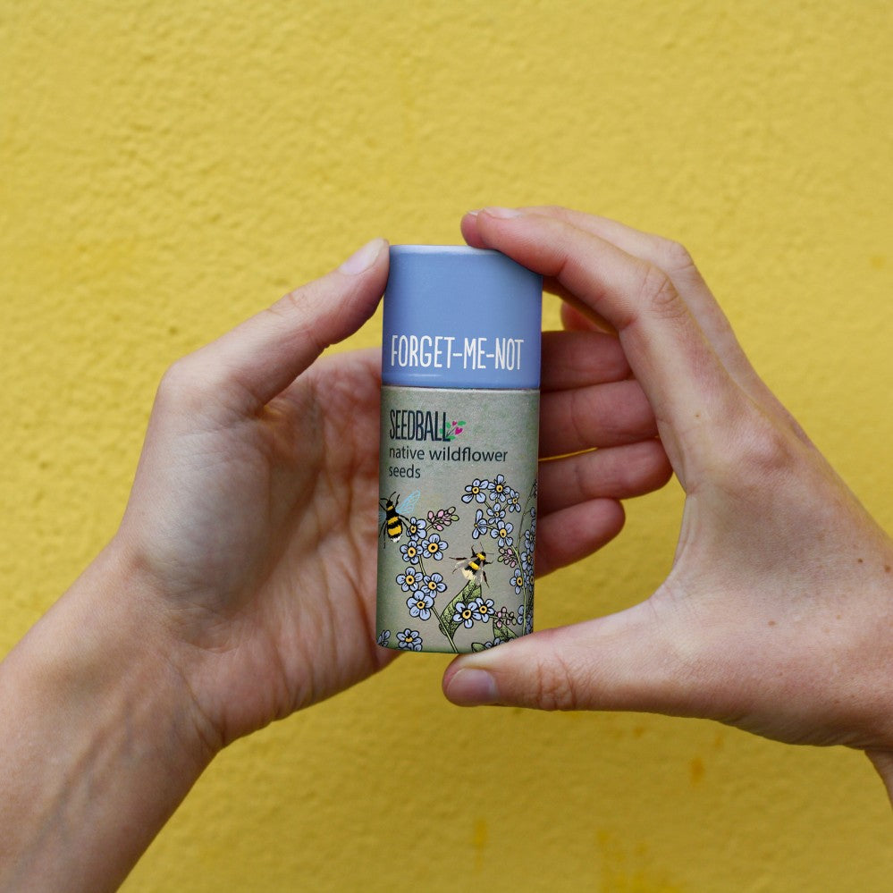 forget-me-knot seedball tube