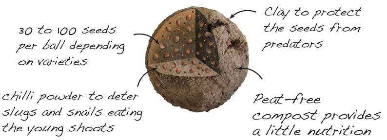 forget-me-knot seedball tube