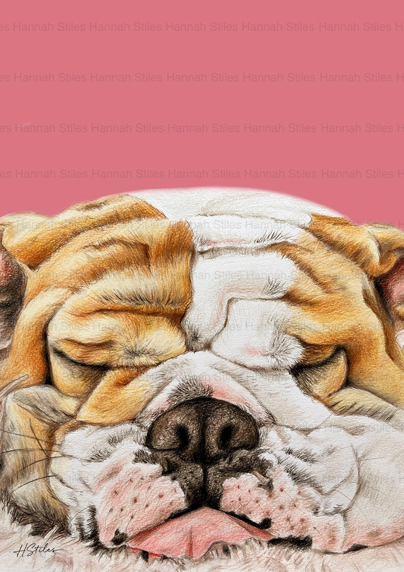 Hannah Stiles Sleeping Bulldog Print A4